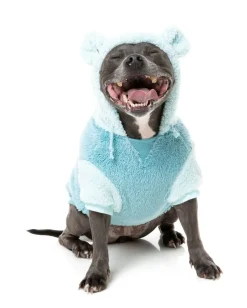 FuzzYard Winnie Hoodie - Blue