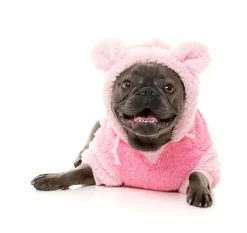 FuzzYard Winnie Hoodie - Pink