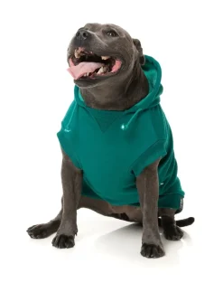 FuzzYard Wooftagram Hoodie - Green