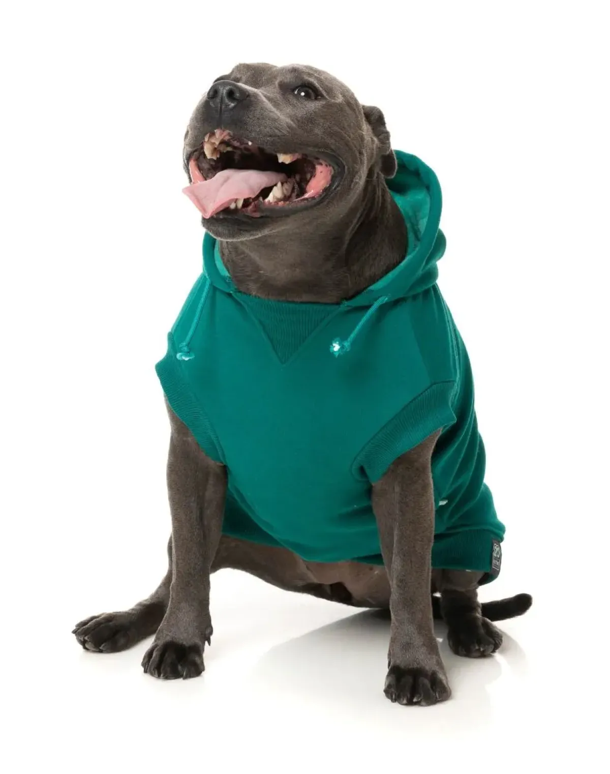 FuzzYard Wooftagram Hoodie - Green