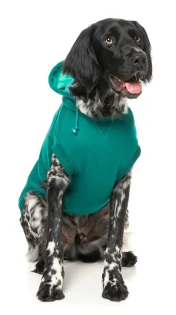 FuzzYard Wooftagram Hoodie - Green