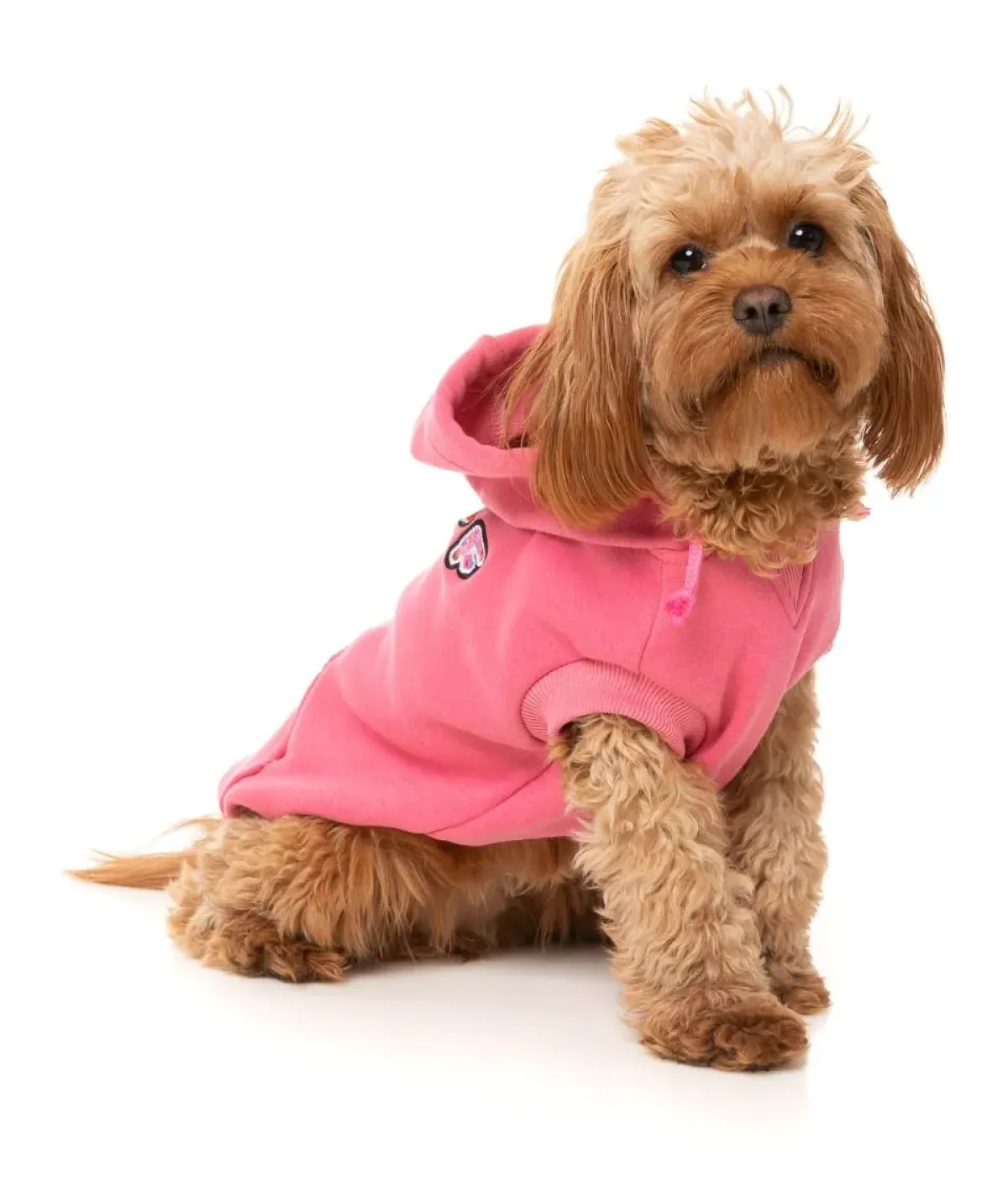 FuzzYard Wooftagram Hoodie - Pink