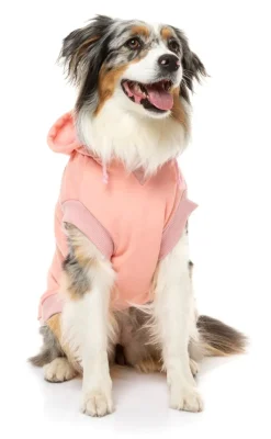 FuzzYard Yardsters Hoodie - Pink