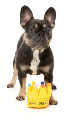 FuzzYard Yass Queen Crown - Dog Toy