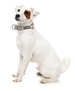 FuzzYard Yazd - Dog Collar