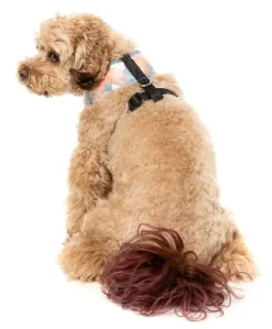 FuzzYard Yazd - Dog Harness