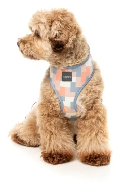 FuzzYard Yazd - Dog Harness