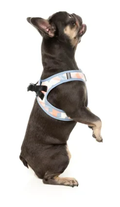 FuzzYard Yazd - Dog Step In Harness