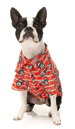 FuzzYard Yo! Santa Button Up Shirt