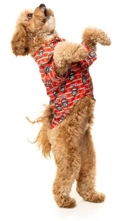 FuzzYard Yo! Santa Button Up Shirt