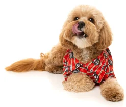 FuzzYard Yo! Santa Button Up Shirt