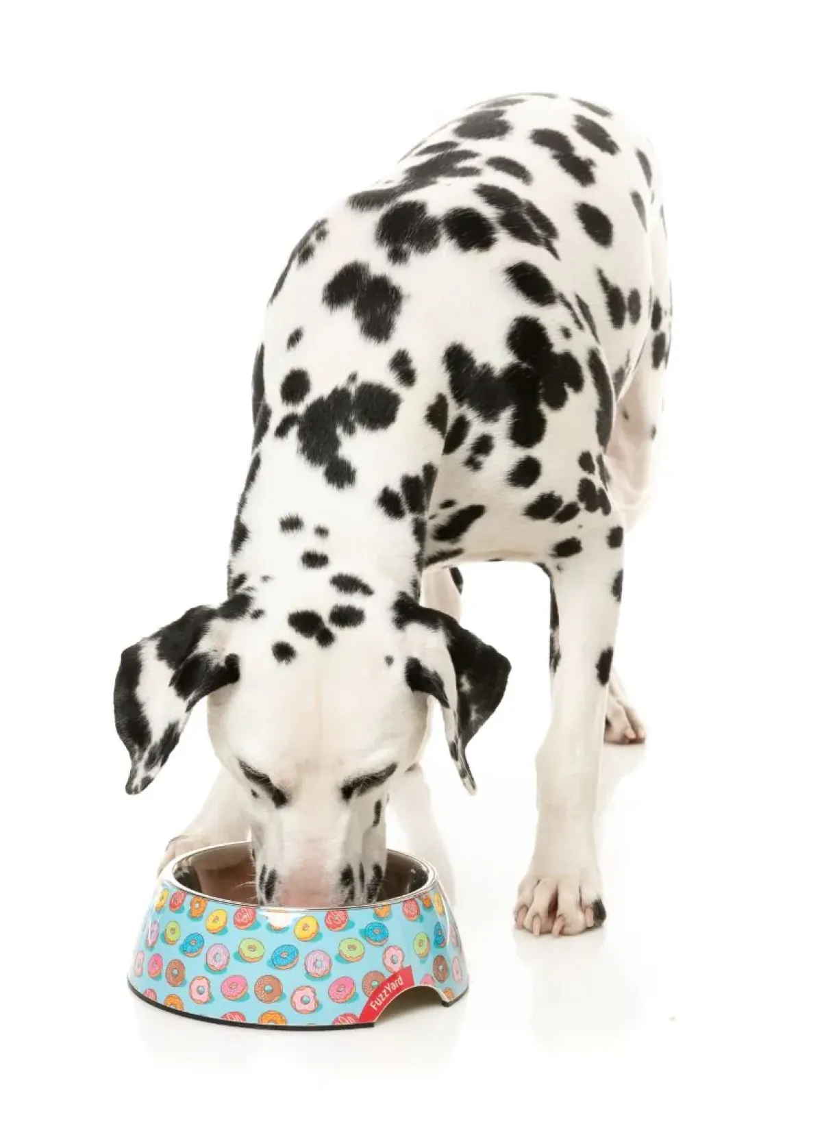 FuzzYard You Drive Me Glazy - Easy Feeder Bowl