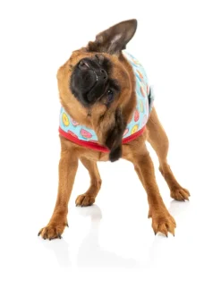 FuzzYard You Drive Me Glazy Wrap Vest