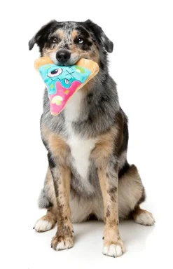 FuzzYard Zombizza - Marg-EAT-Her - Dog Toy